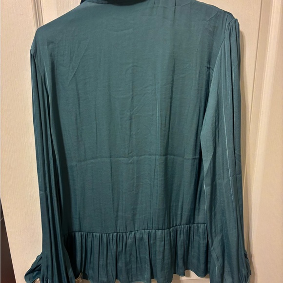 Naked Zebra Deep Teal Blouse - Picture 6 of 6